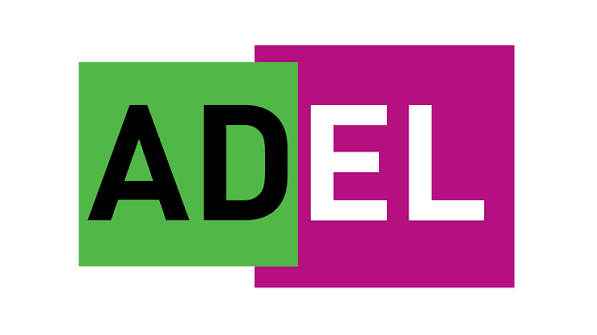 Adel WADA